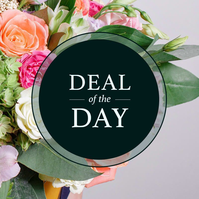 Deal of the Day